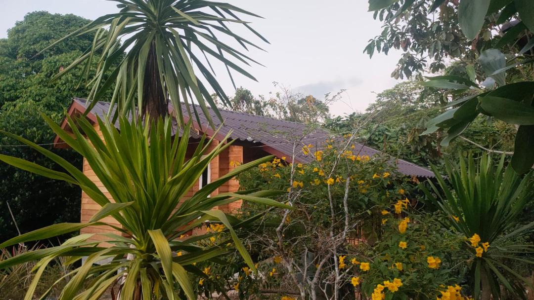 Photo of Others in Ranong