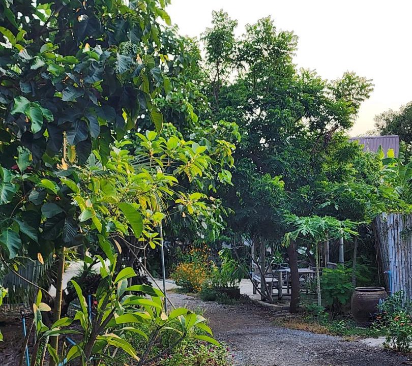 Photo of Others in Bang Yai