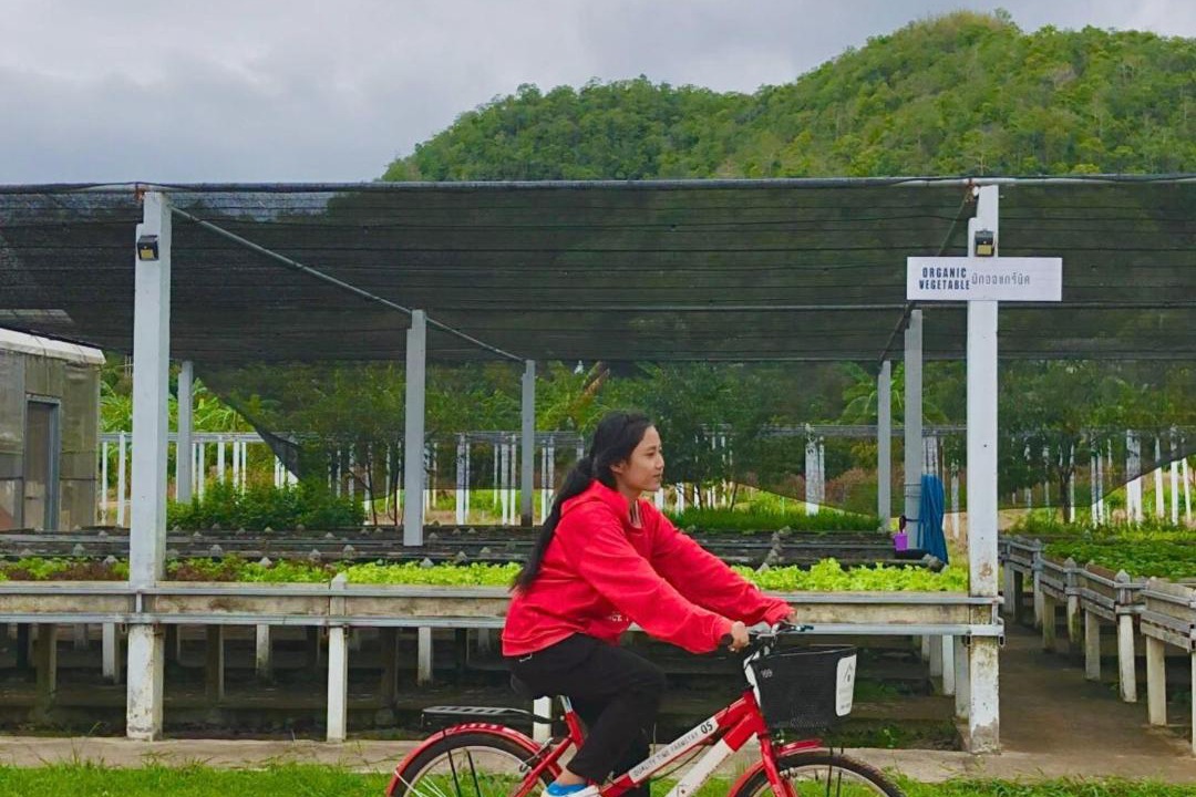 Photo of Others in Huai Sat Yai