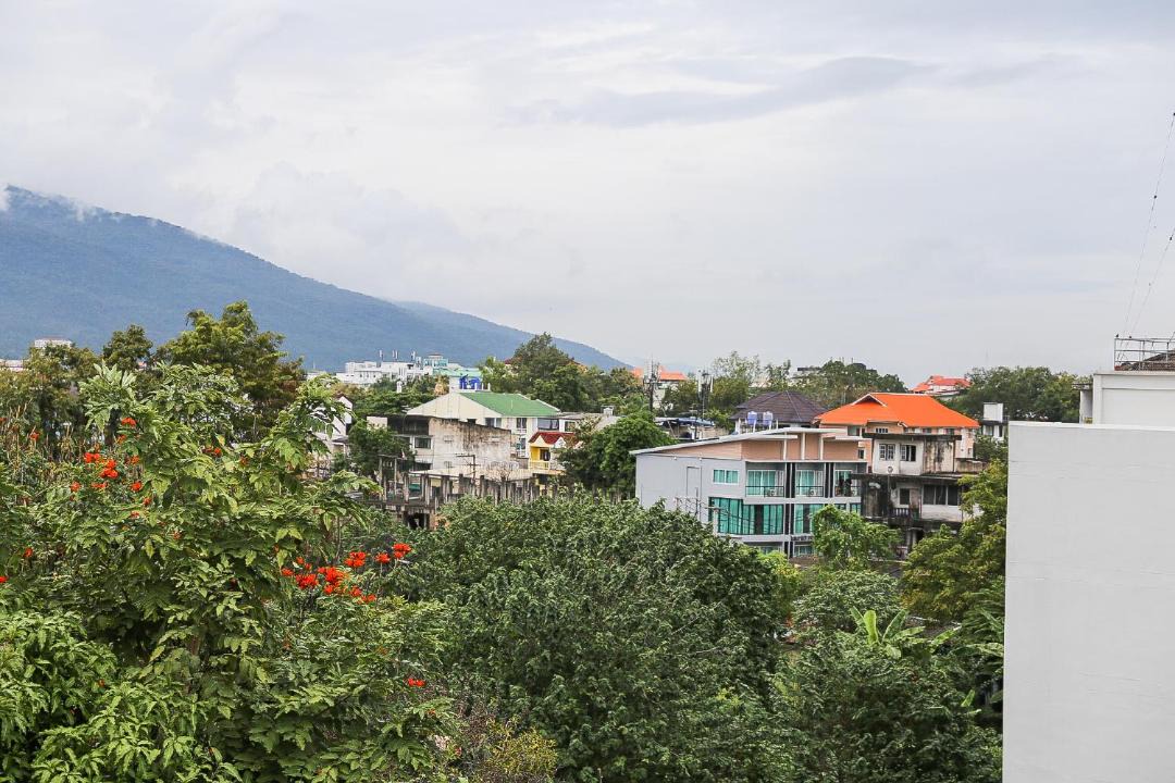 Photo of Others in Chang Phueak