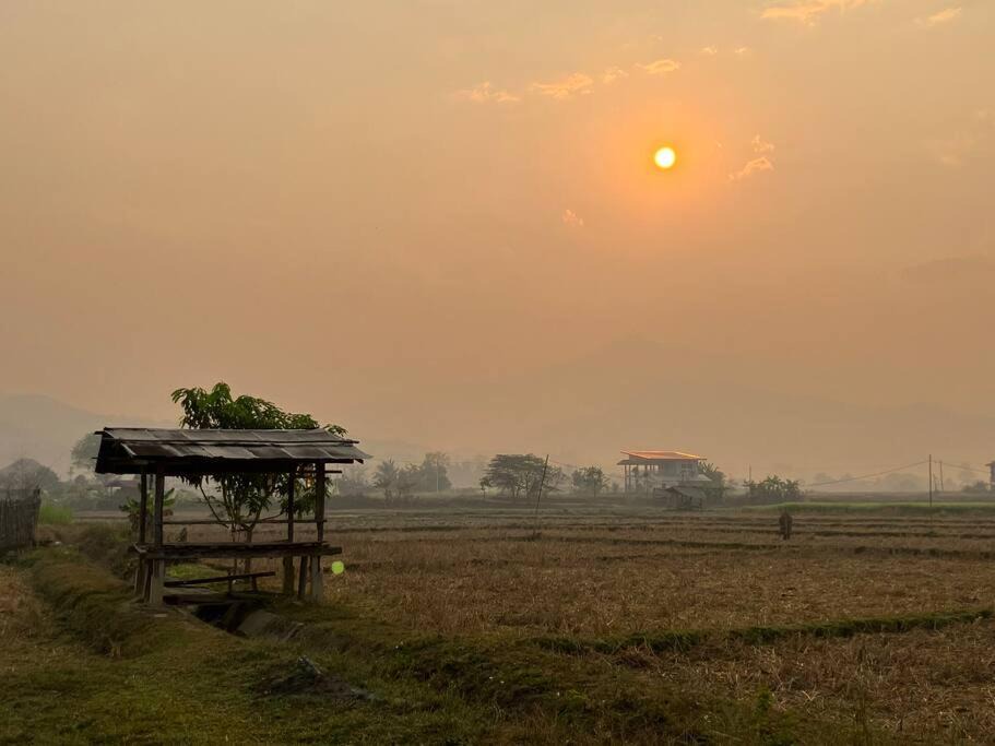 Photo of Others in Pua