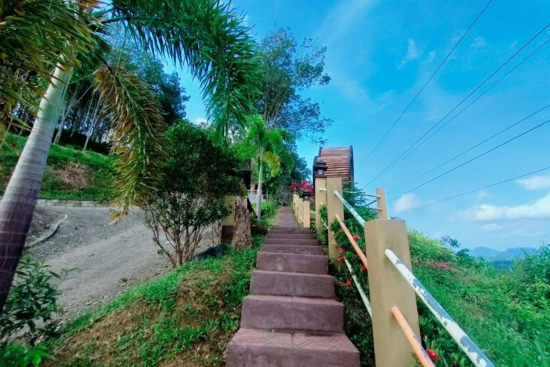 Photo of Others in Phangnga