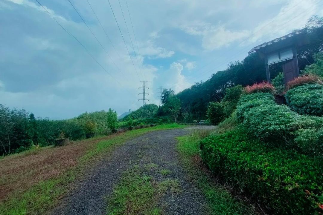 Photo of Others in Phangnga