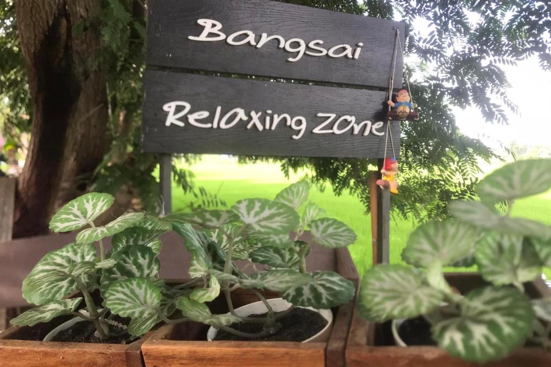 Photo of Others in Bang Sai