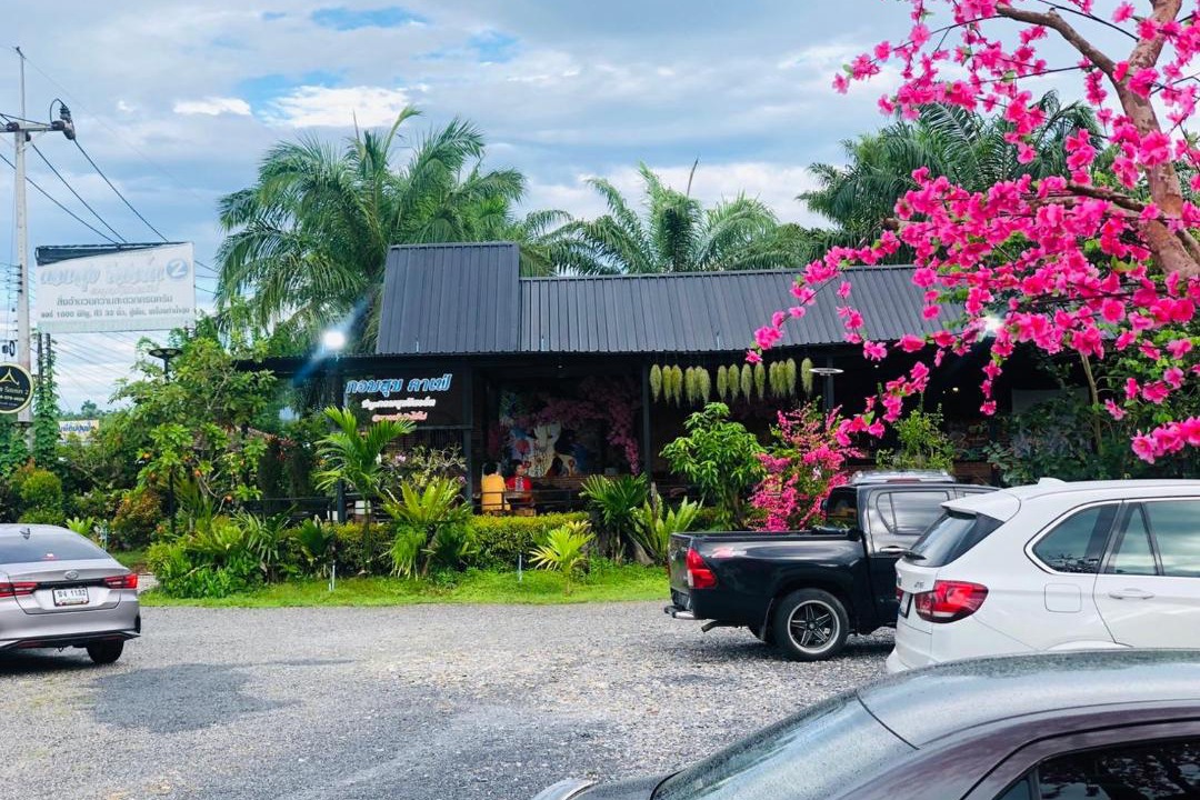 Photo of Others in Sao Phao