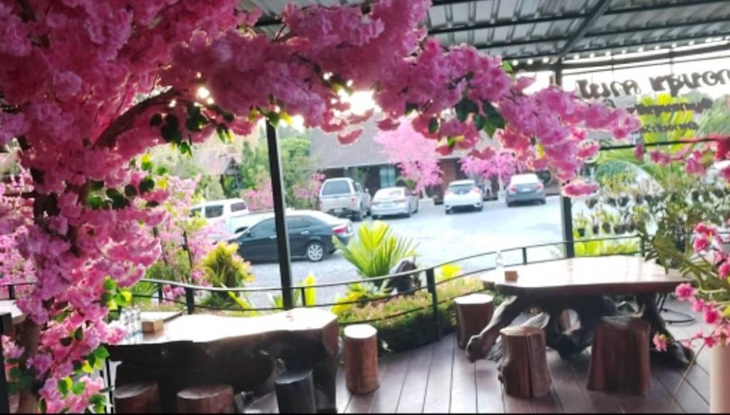 Photo of Others in Sao Phao