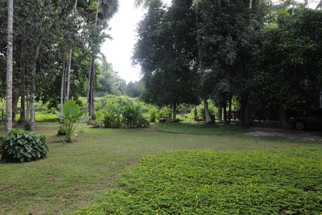 Photo of Others in Chawang