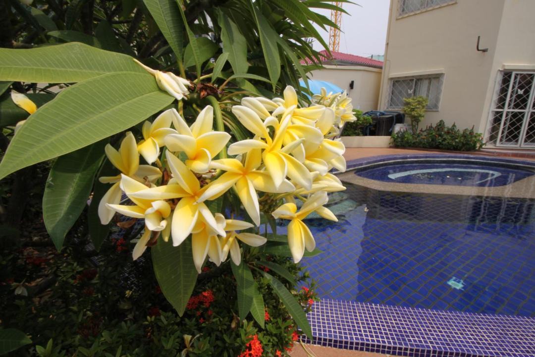 Photo of Others in Jomtien