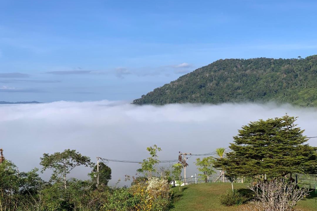 Photo of Others in Khao Kho