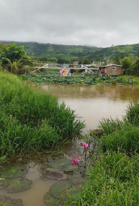 Photo of Others in Khao Kho