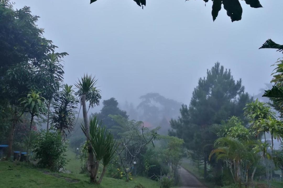 Photo of Others in Khao Kho