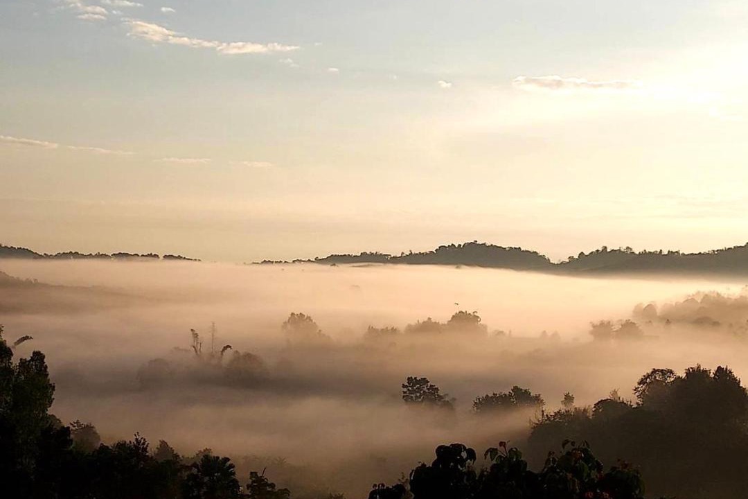 Photo of Others in Khao Kho