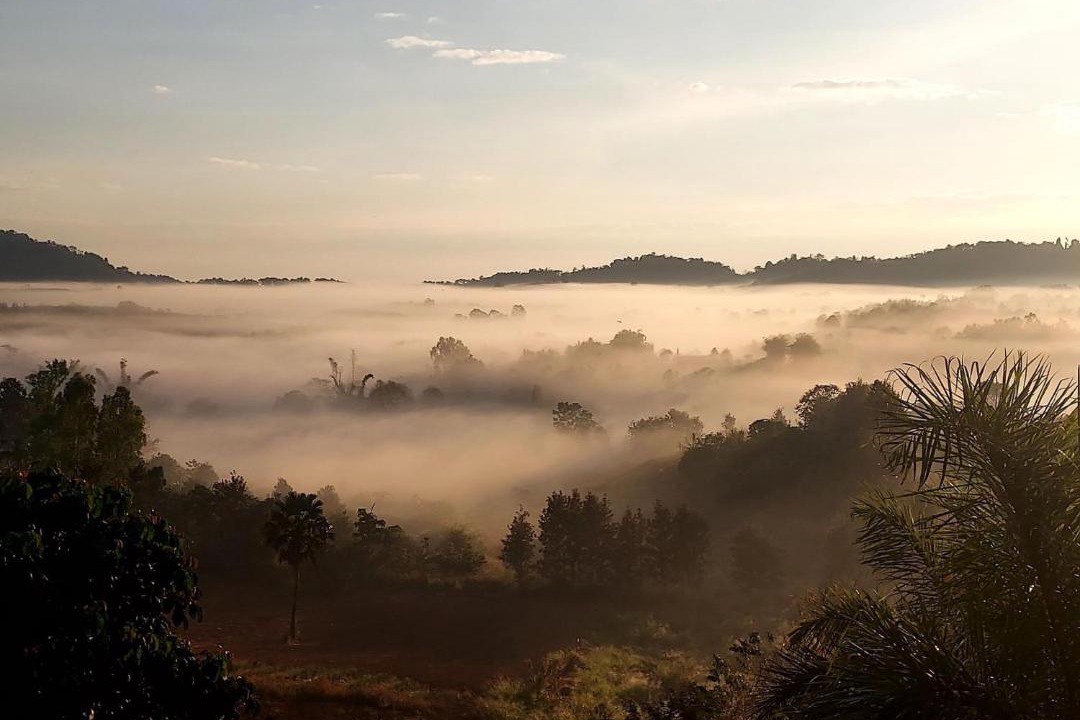 Photo of Others in Khao Kho