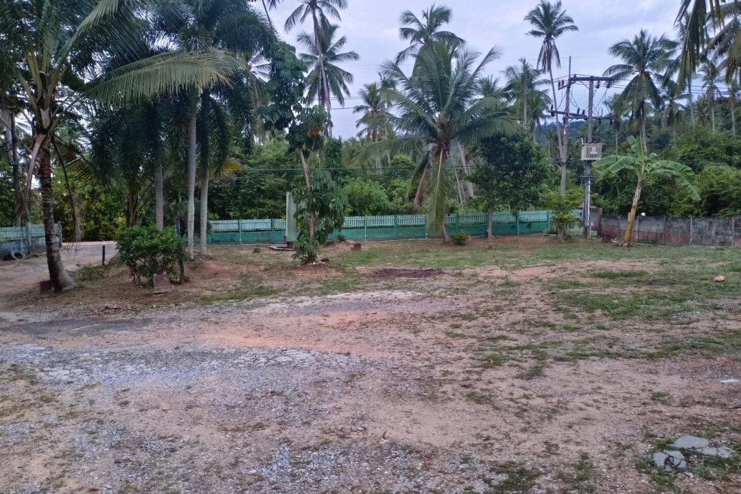 Photo of Others in Thong Krut
