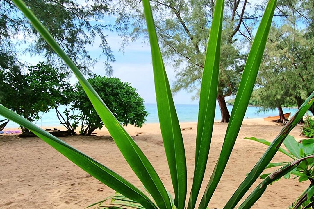Photo of Others in Koh Rong Sanloem