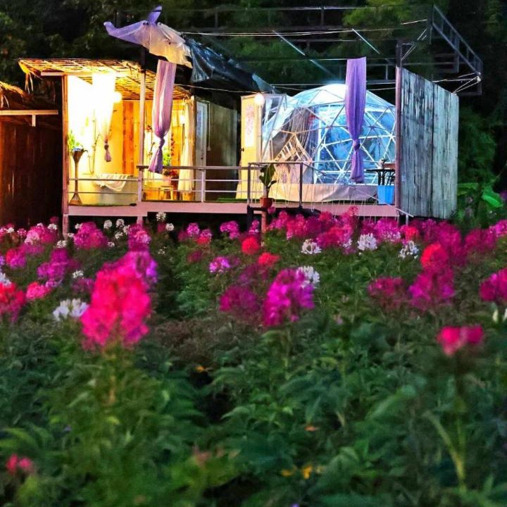 Photo of Others in Mae Taeng