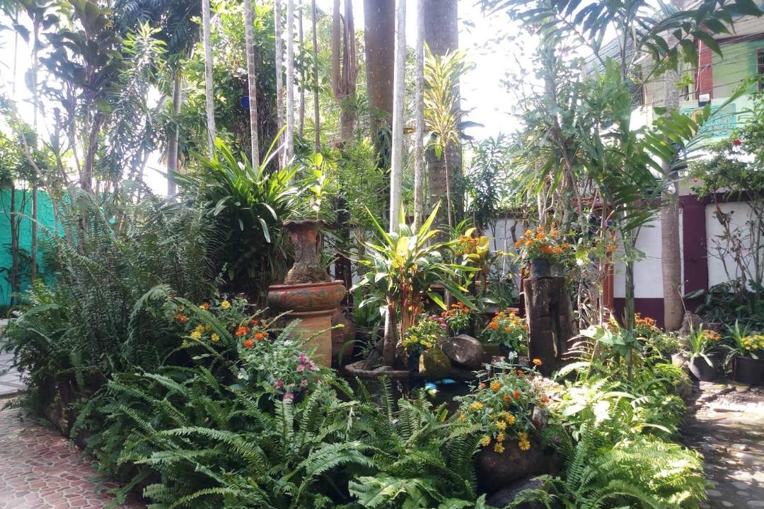 Photo of Others in Chiang Rai