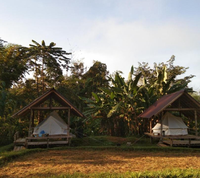 Photo of Others in Bo Kluea