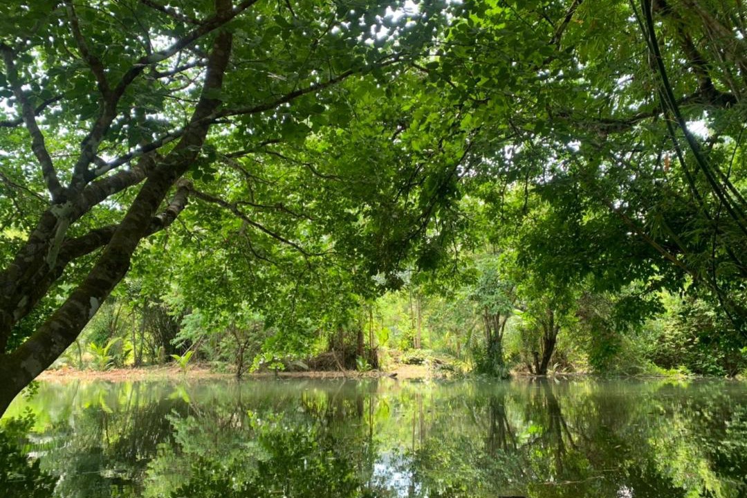 Photo of Others in Kapoe