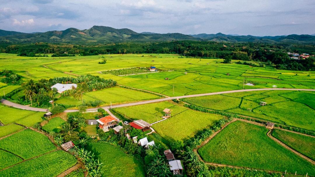 Photo of Others in K. Phu Pieng