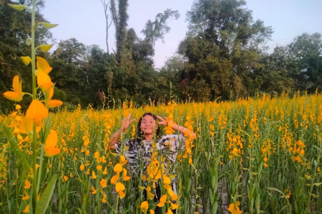Photo of Others in Sukhothai