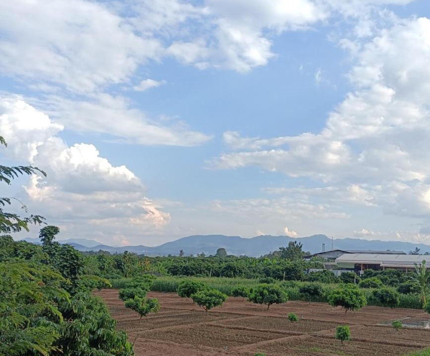 Photo of Others in Lamphun