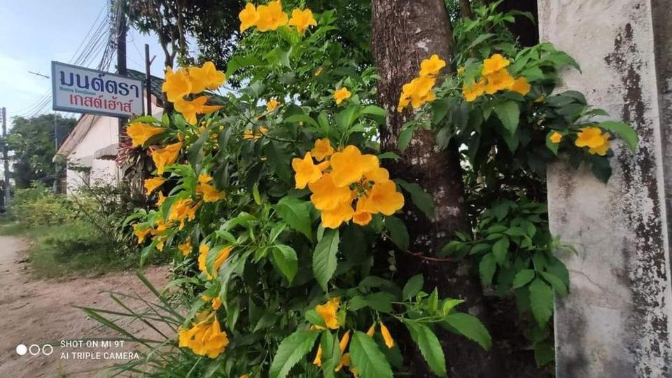 Photo of Others in Ranong