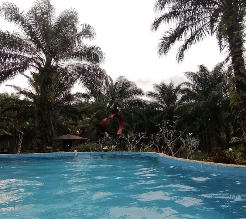 Photo of Others in Krabi