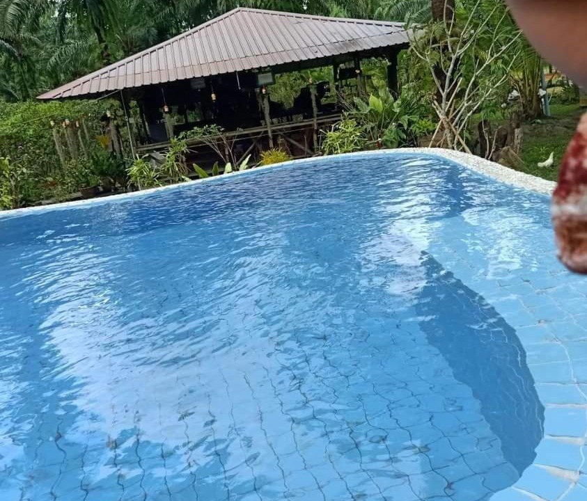 Photo of Others in Krabi