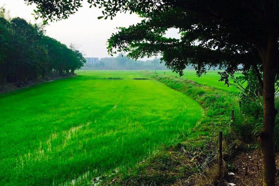 Photo of Others in Uttaradit