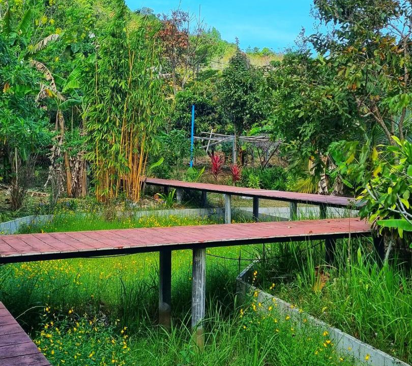 Photo of Others in Ko Yao