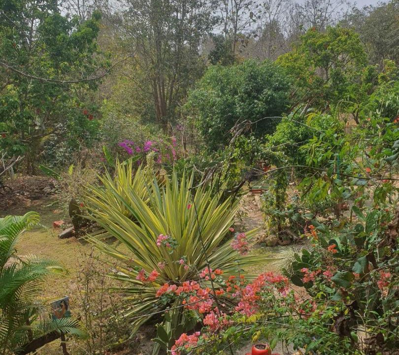 Photo of Outdoor in Soppong