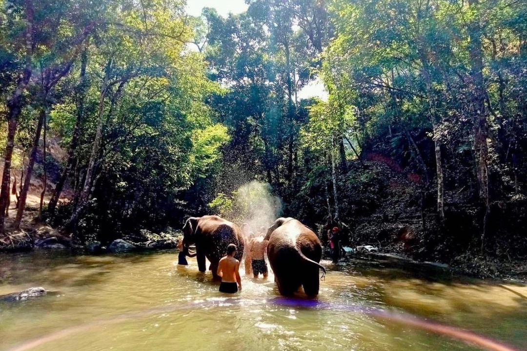 Photo of Others in Doi Lo
