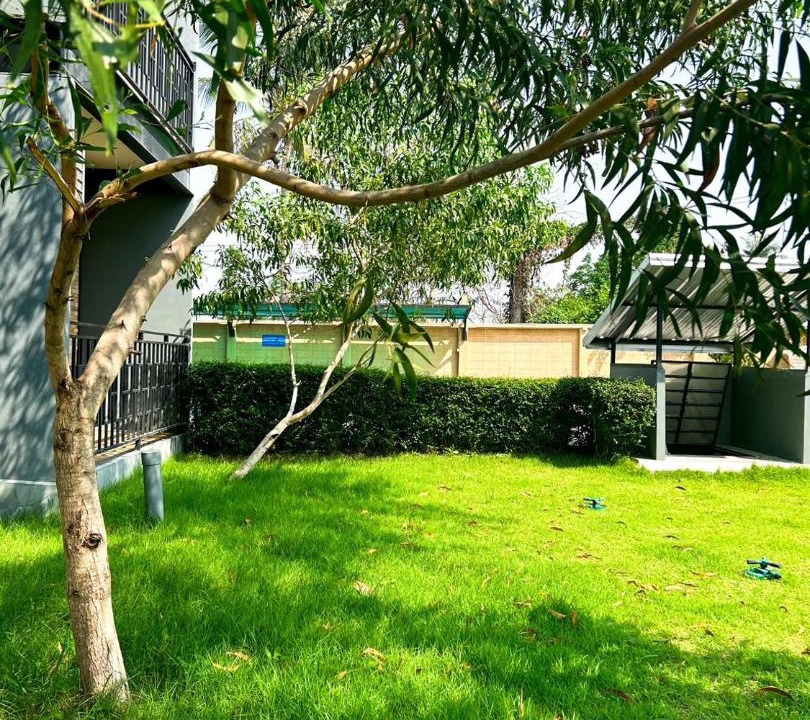 Photo of Outdoor in Nong Khang Khok