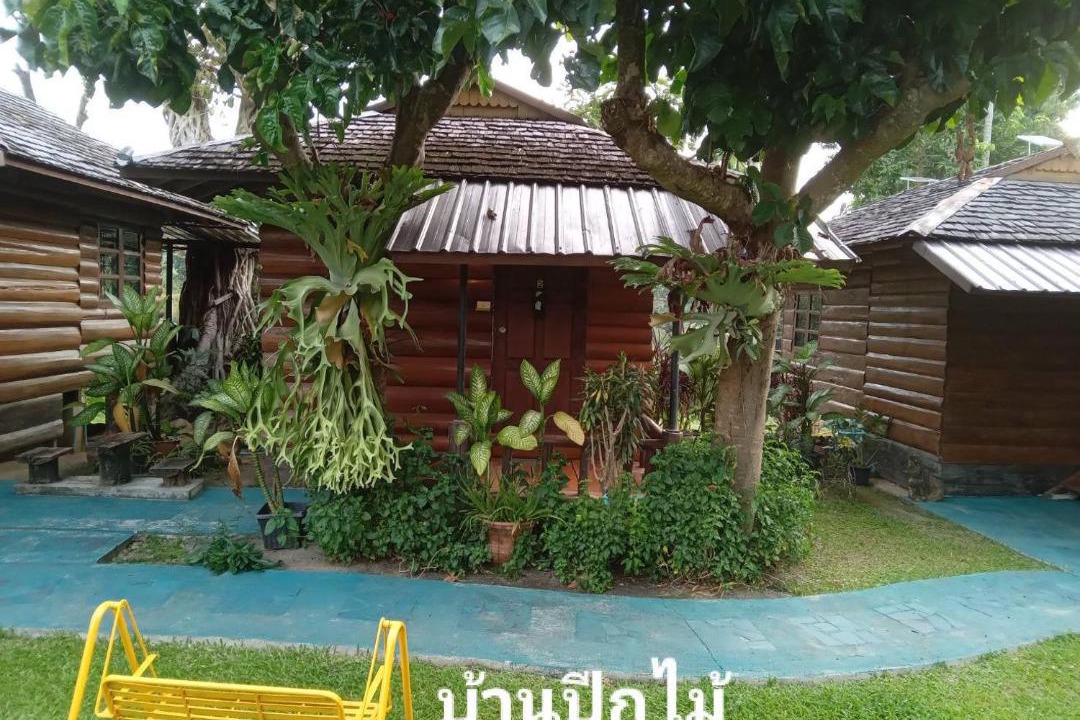 Photo of Others in Pai