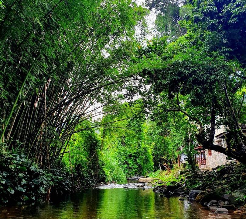 Photo of Others in Khlong Sok