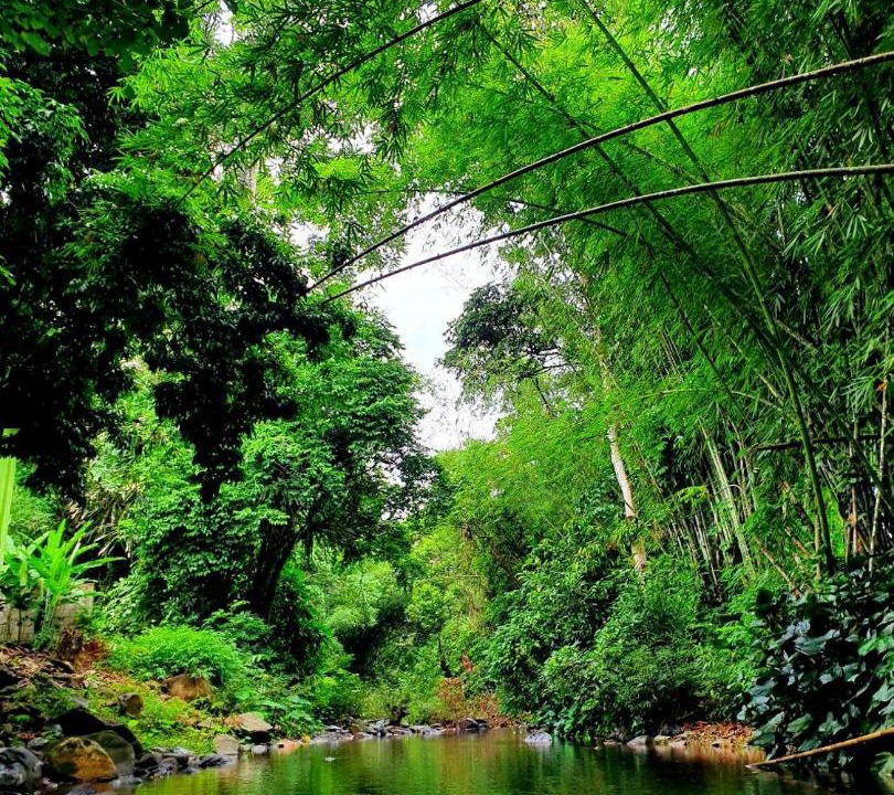 Photo of Others in Khlong Sok