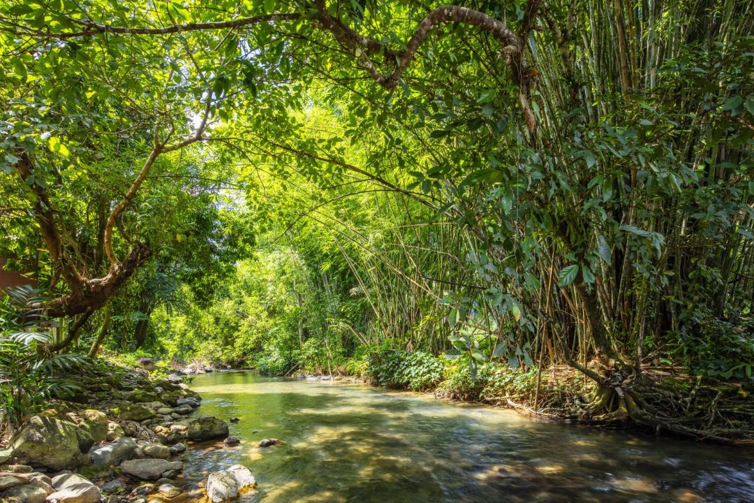 Photo of Others in Khlong Sok