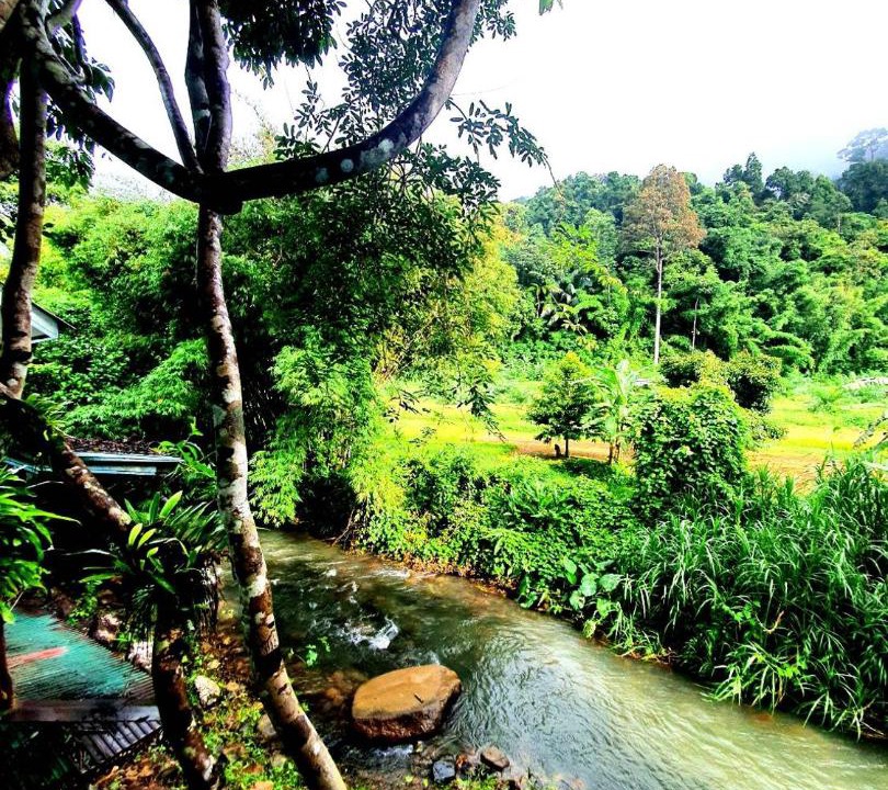 Photo of Others in Khlong Sok