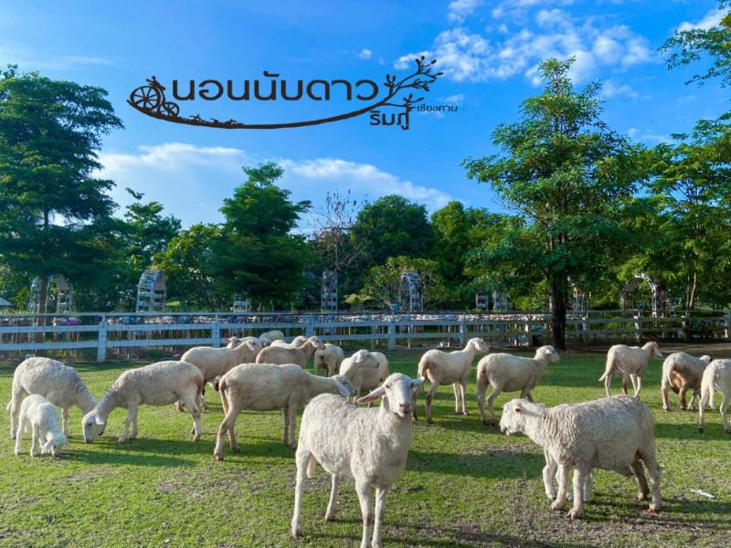 Photo of Others in Chiang Khan