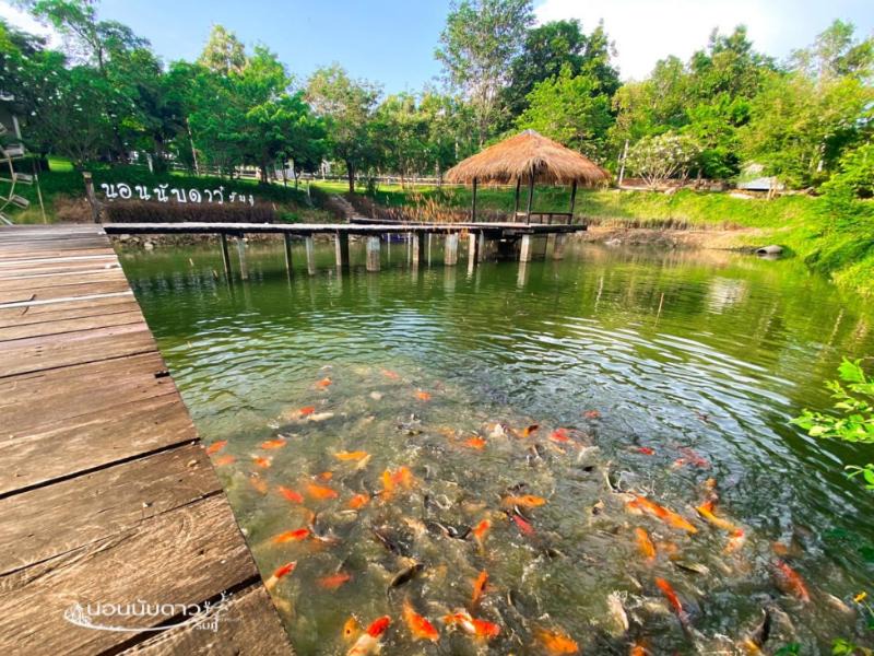 Photo of Others in Chiang Khan