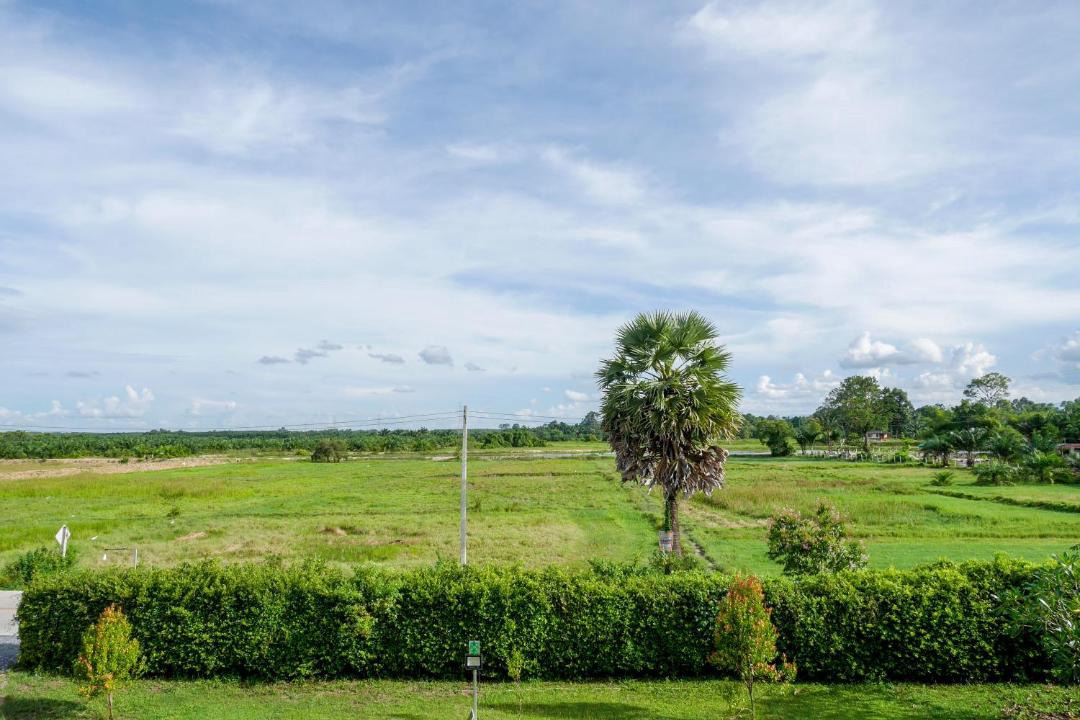 Photo of Others in Nakhon Si Thammarat