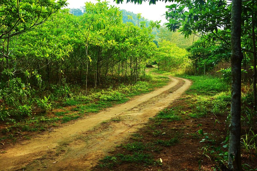 Photo of Others in Ko Kradan
