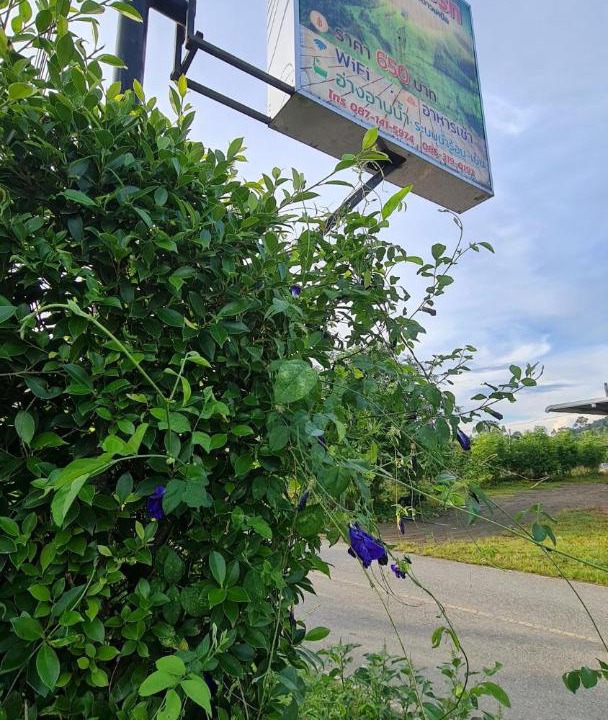 Photo of Outdoor in Sai Khao