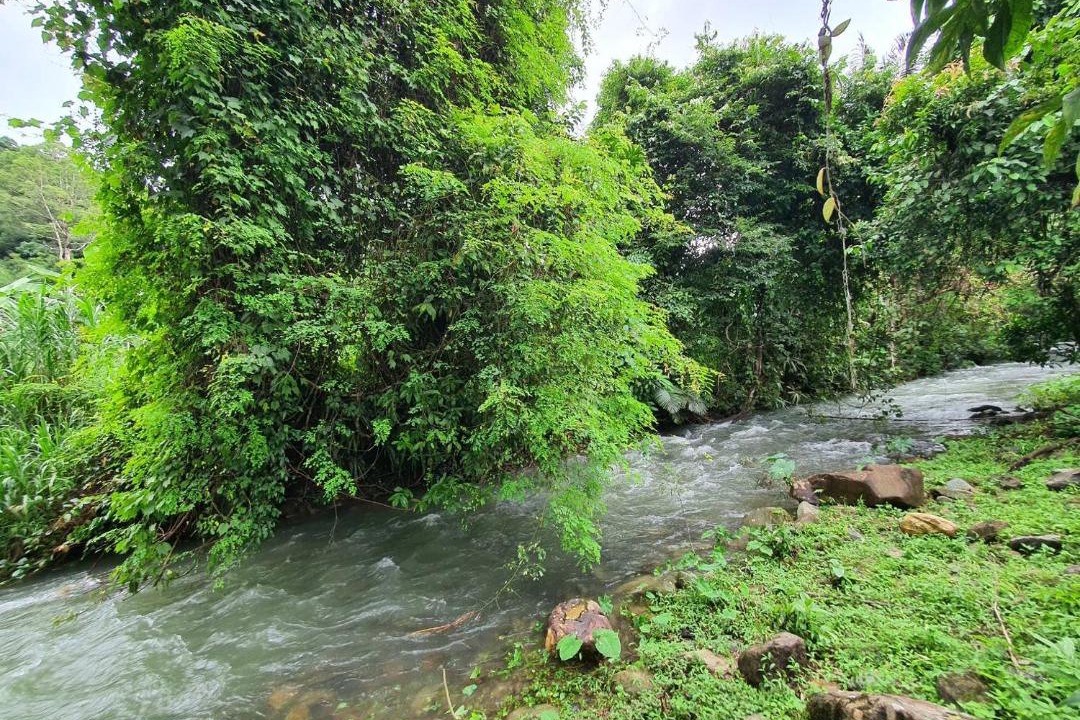 Photo of Others in Khlong Sok