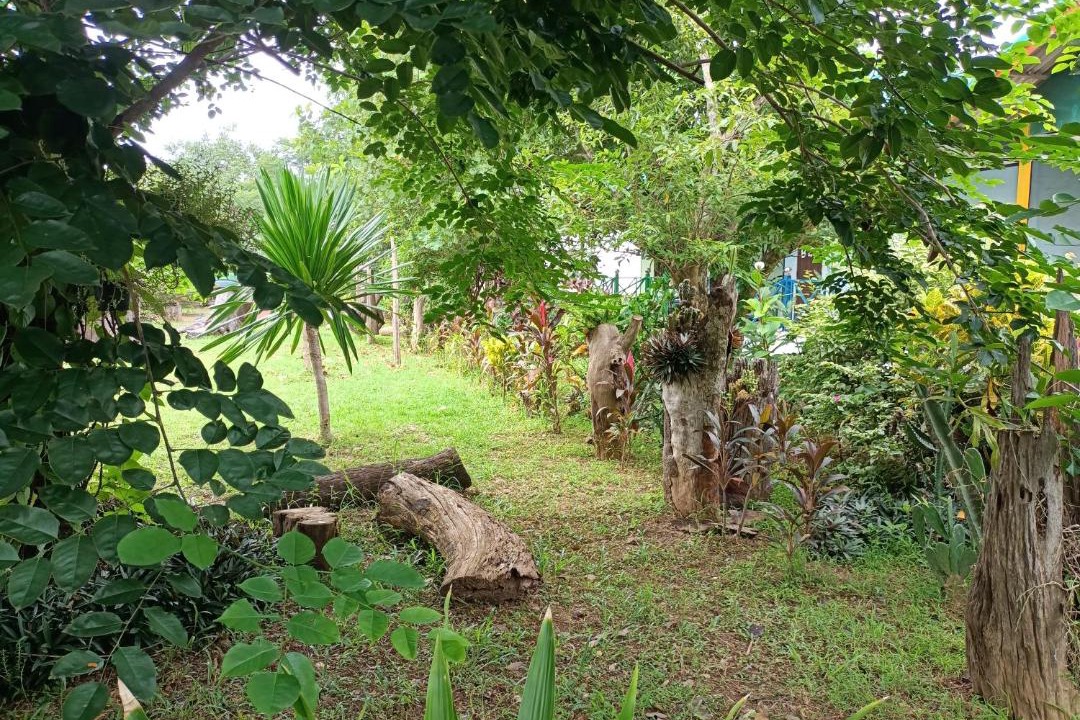 Photo of Others in Dongmakkhai