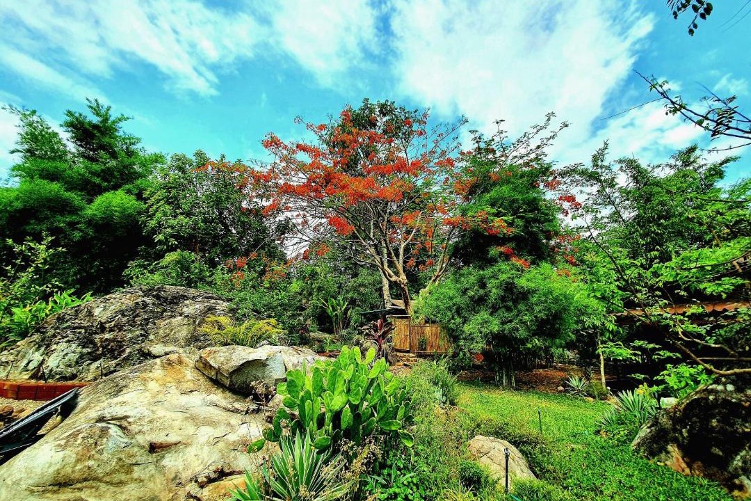 Photo of Others in Pai