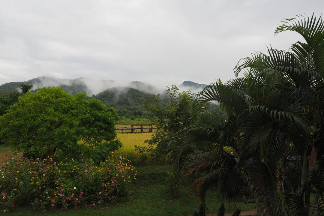 Photo of Others in Pua