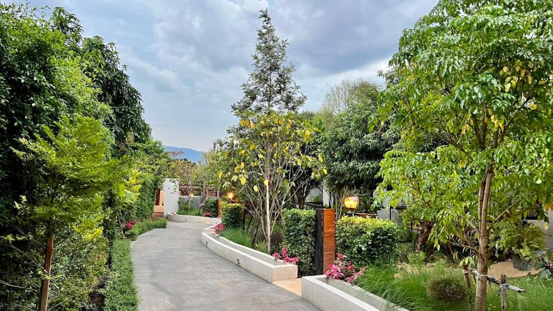 Photo of Outdoor in Pong Ta Long