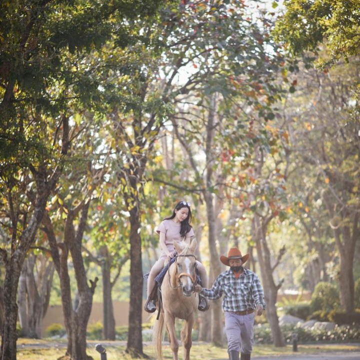 Photo of Others in Khanong Phra